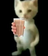AstralDoesStuff's avatar