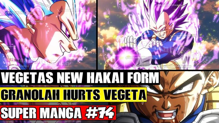 Vegeta Hakaishin  Anime dragon ball super, Anime dragon ball, Dragon ball  super