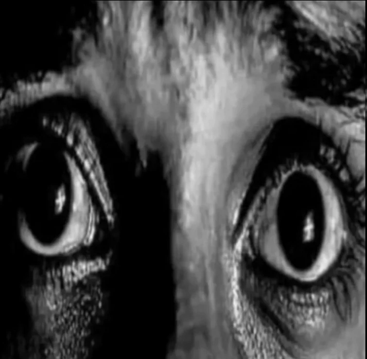 this is my introduction Post | Fandom