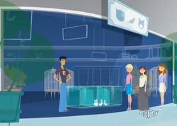 Galleria Mall, 6Teen Wiki