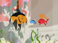 The fish theater.