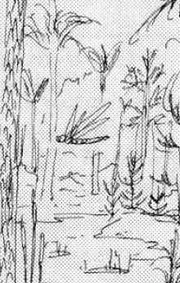 Carboniferous Era-like area