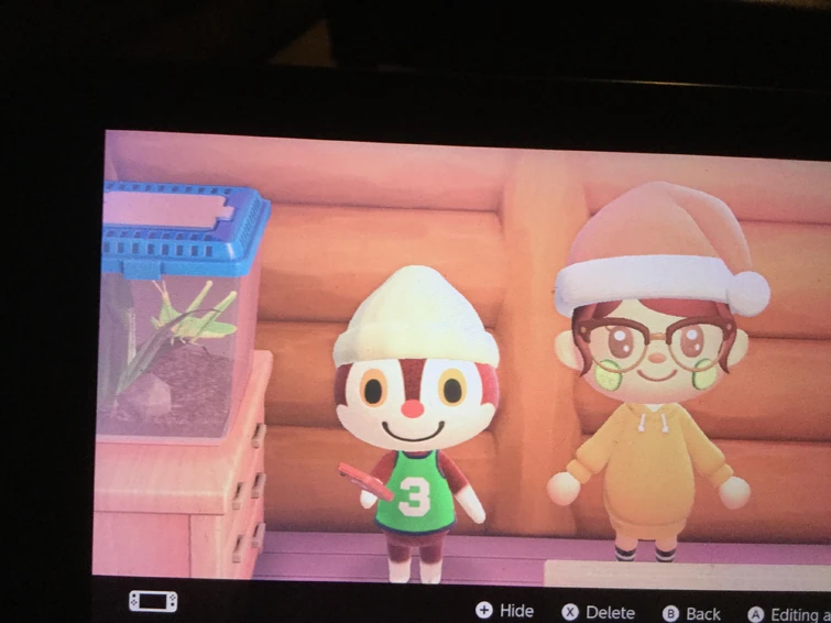 Discuss Everything About Animal Crossing Wiki Fandom