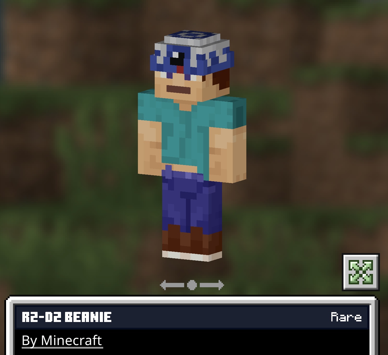 minecraft beanie skin