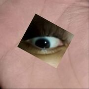 FB IMG 1544543155639.jpg
