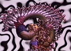 William 4.gif
