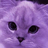 CattosWiki's avatar