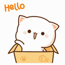 Hello! | Fandom