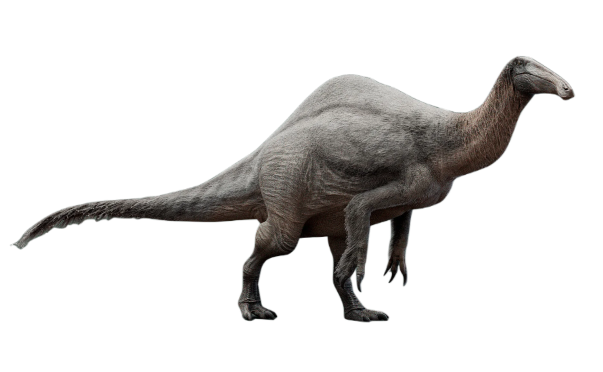 Deinocheirus, Dinopedia