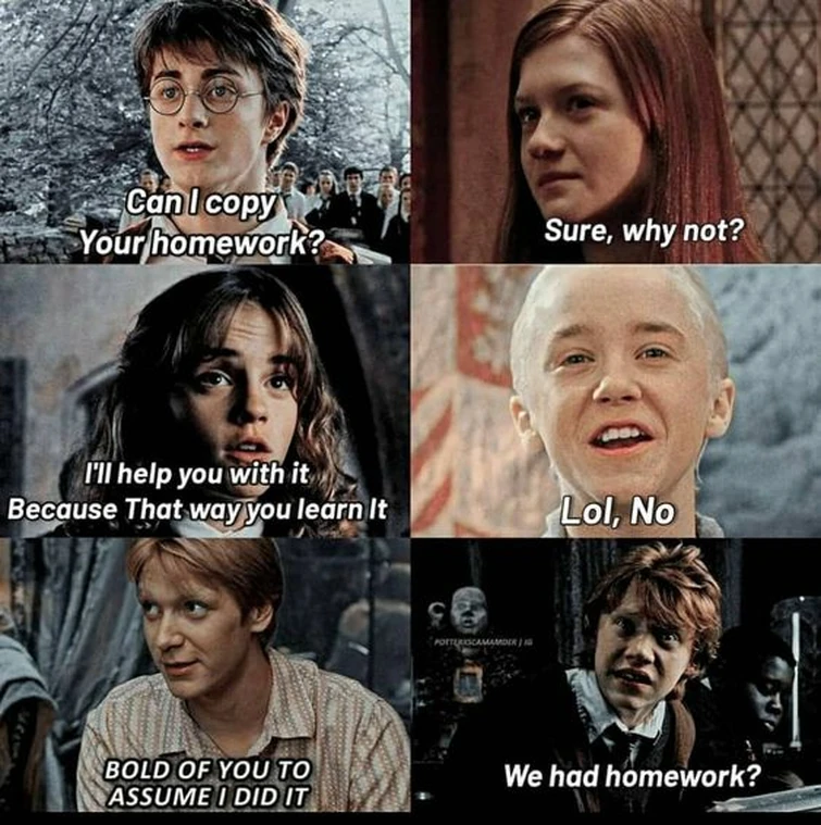 Harry Potter memes | Fandom