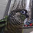 Springdanceroncousinaccount's avatar