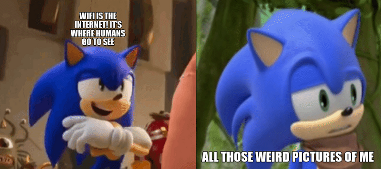 An meme about preventing the weird and dark side of the online sonic fan  community.