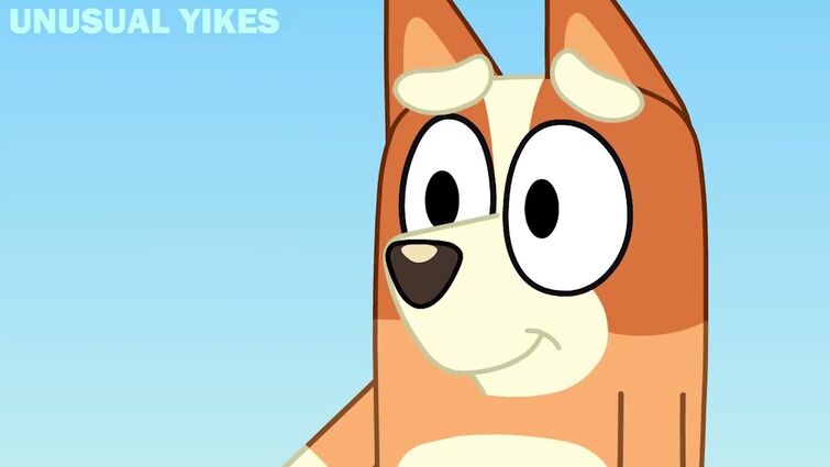 YOU GOT A PROBLEM? (Bluey)