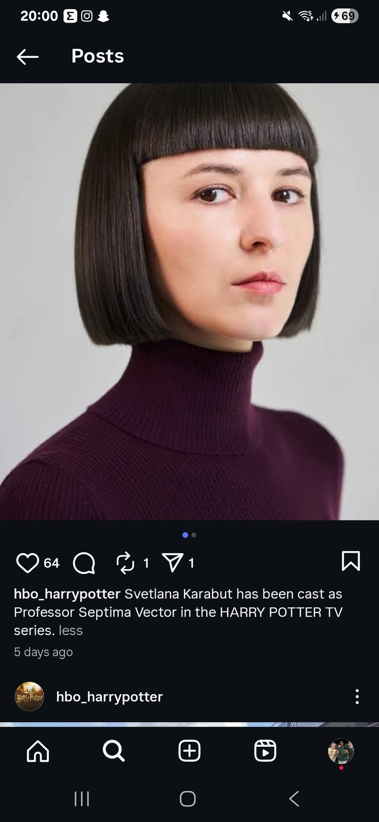 Harry potter HBO Casting | Fandom