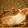 Hamsterrides