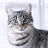 Catsys's avatar