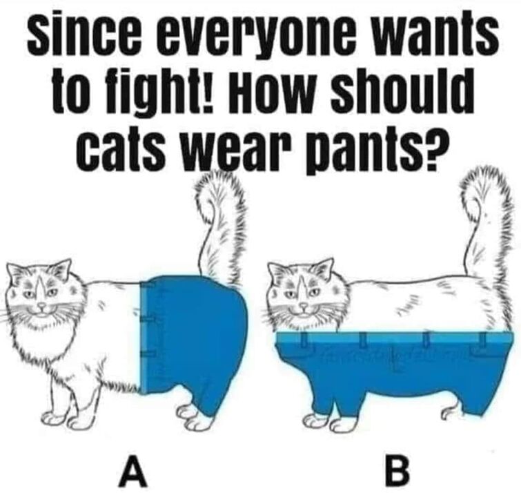  Pants For Cats