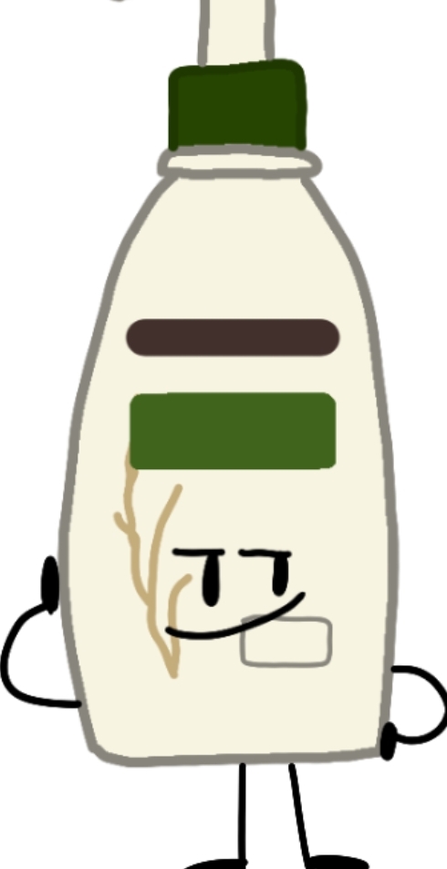 The secret object fool character | Fandom