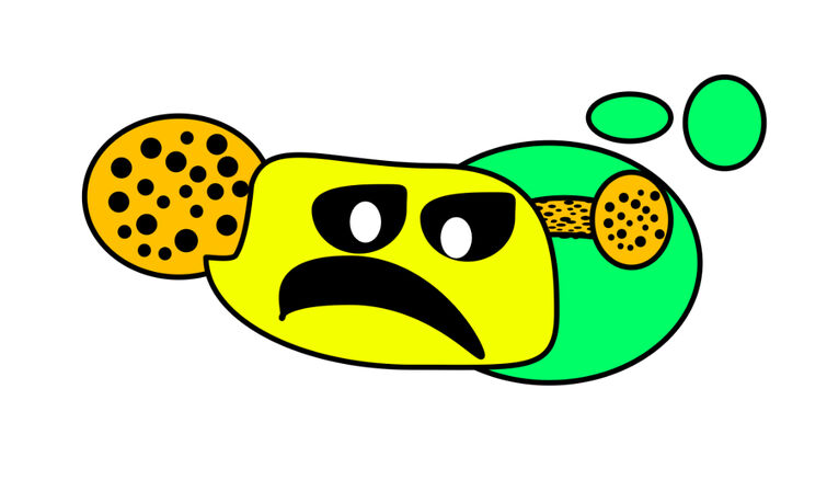 Fandom Image