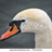 TheGreatBird453's avatar