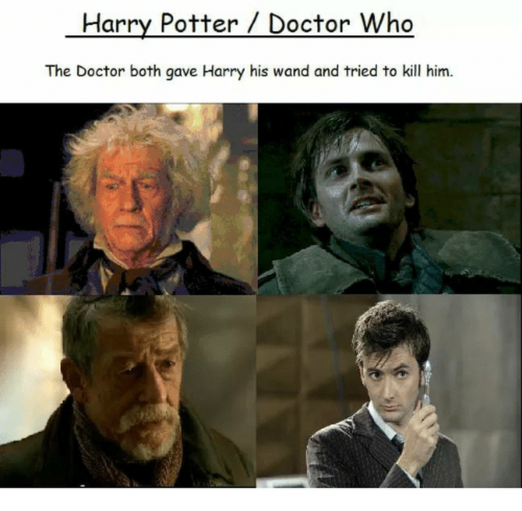 Doctor Potter” Meme is the Closest We'll Get to a Harry Potter Doctor Who  Episode