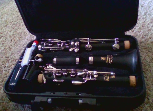 Do you guys play an instrument? | Fandom