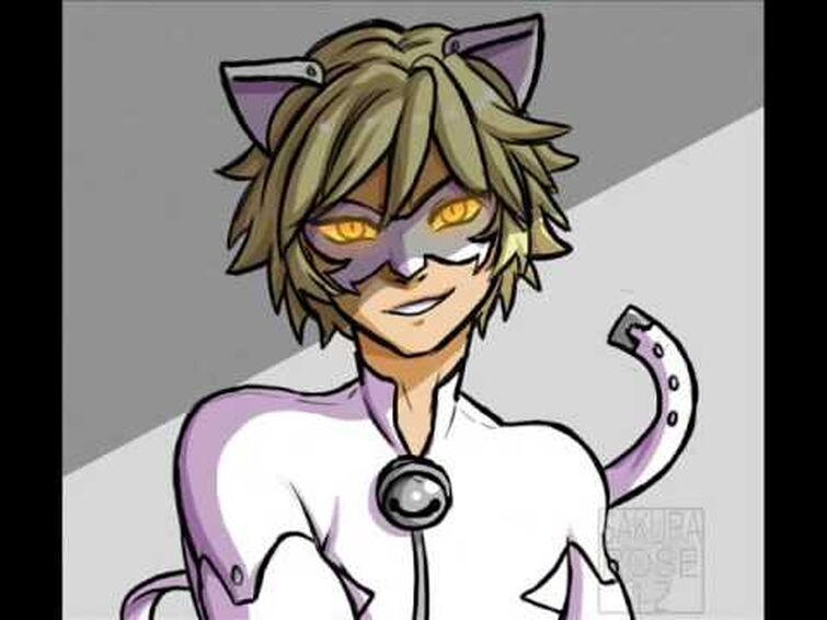 Chat noir akumatized 𝐹𝓊𝓉𝓊𝓇𝑒 𝒜𝒹𝓇𝒾𝑒𝓃