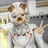 Cassie.31's avatar