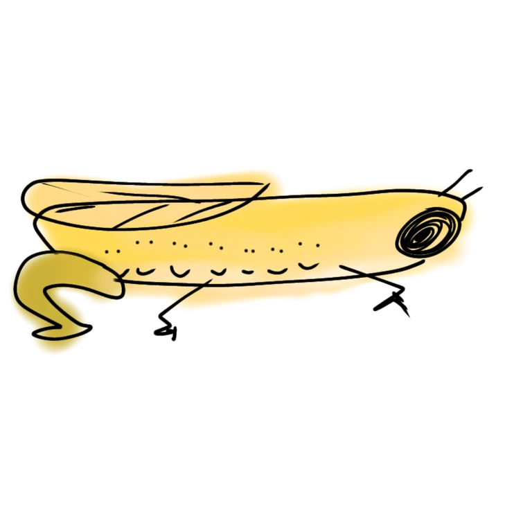 funi-bugi-fact-fandom