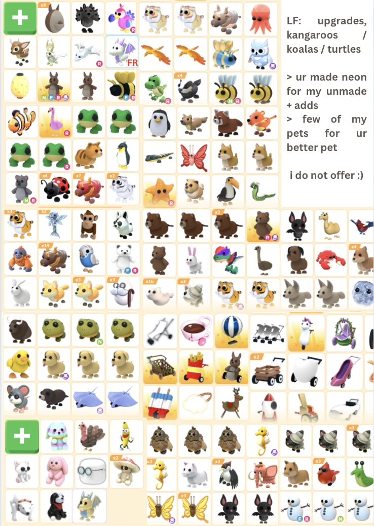 looking for kangaroos, turtles 🐢 🦘 Fandom