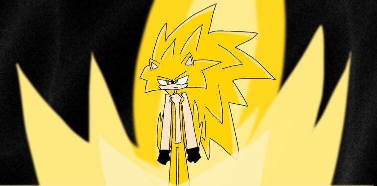 Super Sonic 3 + Super Shadow 3 = ? 