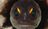 Fishyboy587's avatar