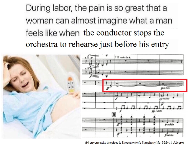 Funny orchestra memes Fandom