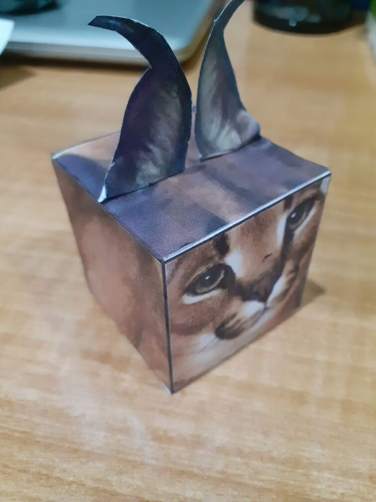 Made Floppa Cube in real life