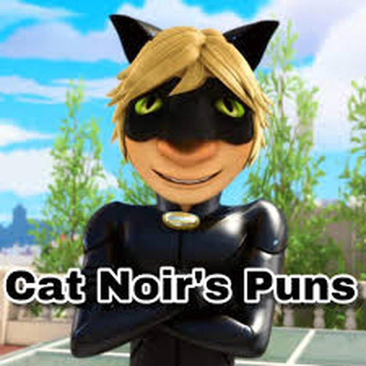 Put Funny Pictures Of Cat Noir On This Post Fandom