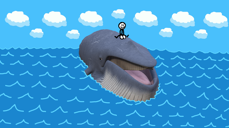Me riding a Blue Whale | Fandom