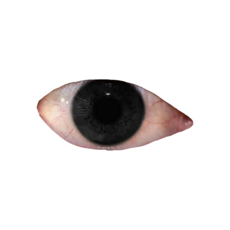 mods to make sims 4 realistic
