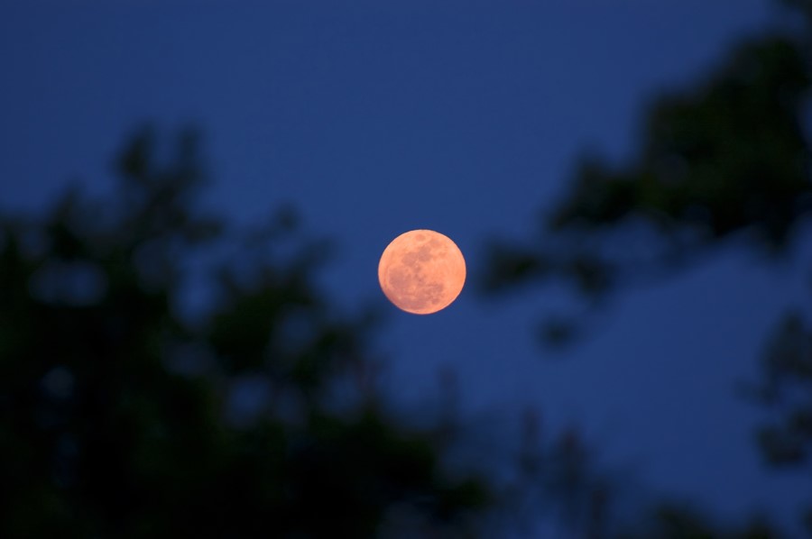 why-is-the-moon-orange-wrong-answers-plz-fandom