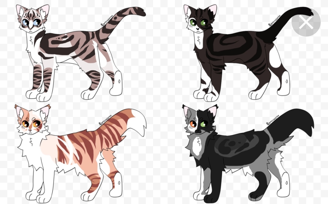 коты воители роблокс окрасы. коты воители пиксели. адопты кв коты воители. коты воители роблокс. коты воители roblox.