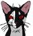 Waldstern01s Profilbild