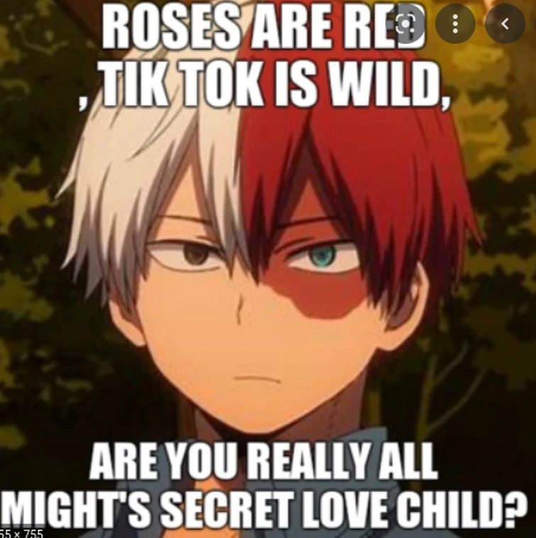 not my memes 7 Shoto todoroki | Fandom