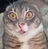 SoupGodPipuu's avatar