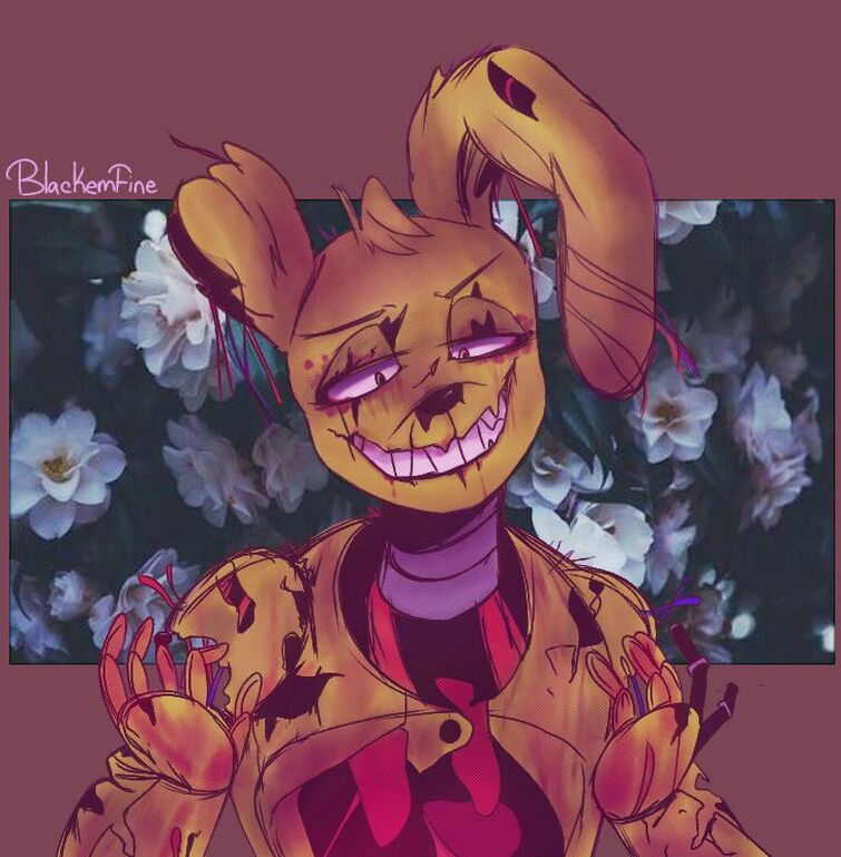 Fandom Image