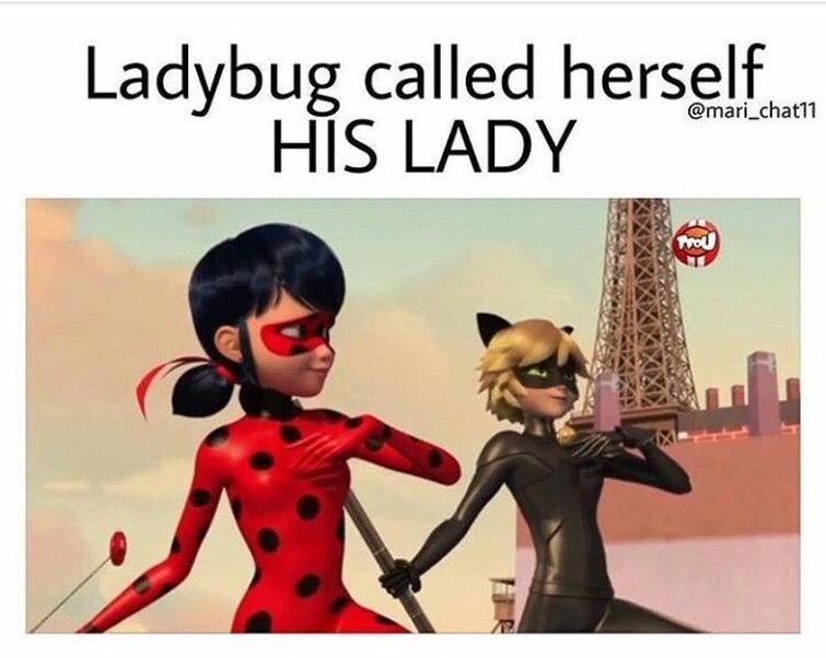 Well I really liked this part where Chat Noir copied befana and yaa I just  like it not much to say. : r/miraculousladybug