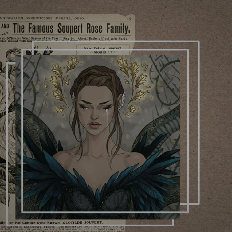 Fandom Image