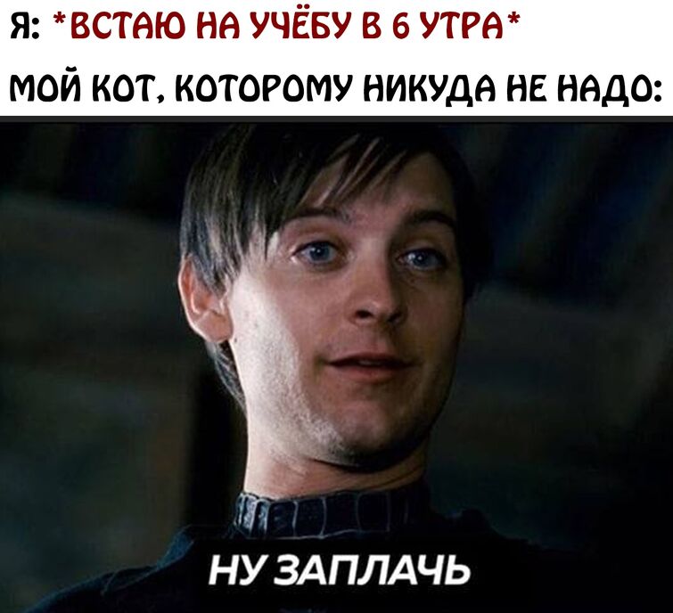 Ну давай заплачь мем