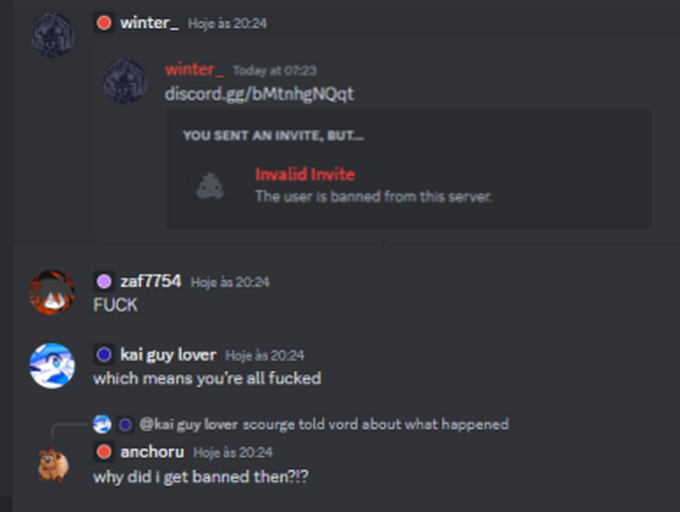 pilgrammed calamity discord server is pure chaos | Fandom