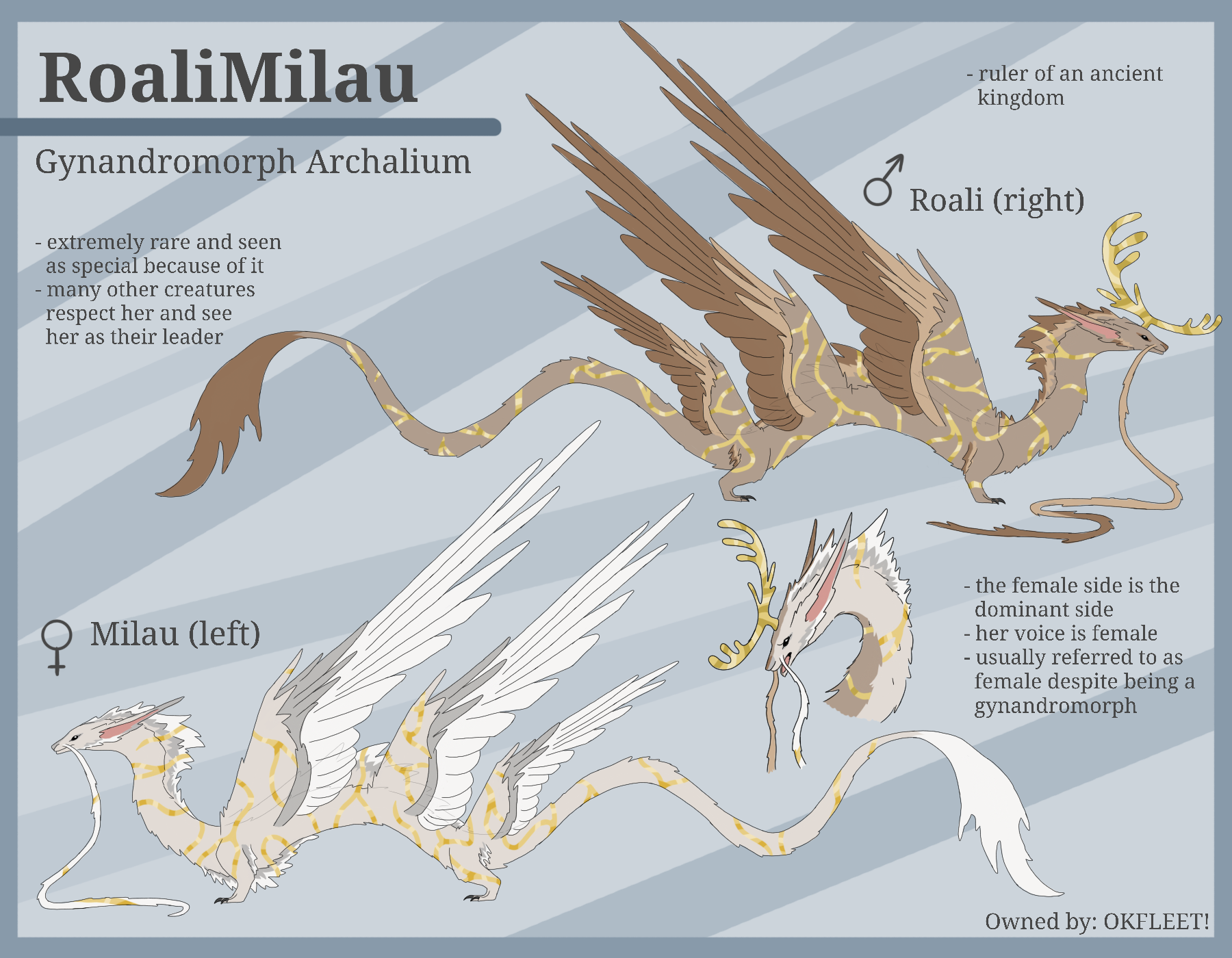 RoaliMilau, the gynandromorph archalium