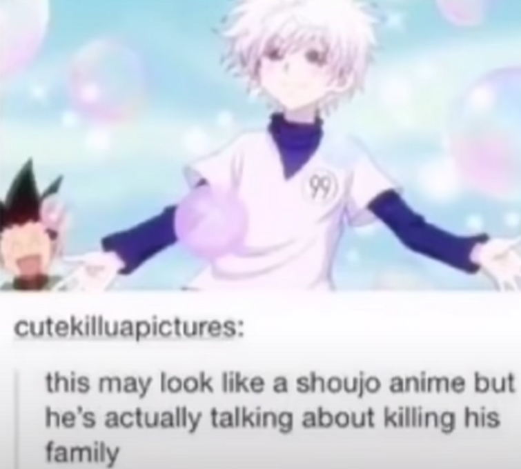 Is Killua and Gon gay????? super confused?????