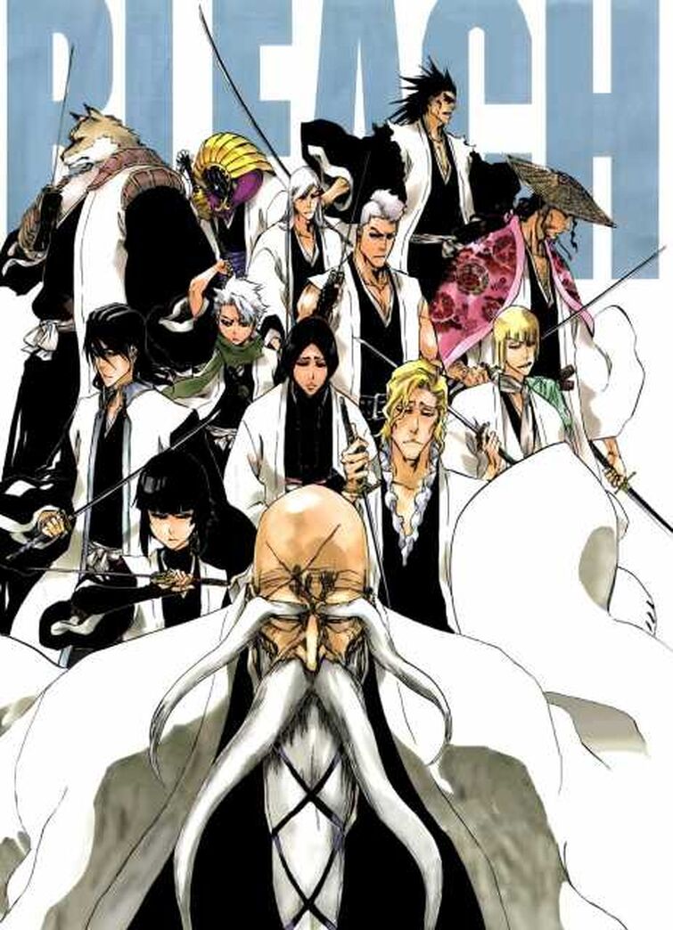 Souls Reapers, Quincys, Espada, Fullbringers, or Visoreds? Which  organization would you join? : r/bleach